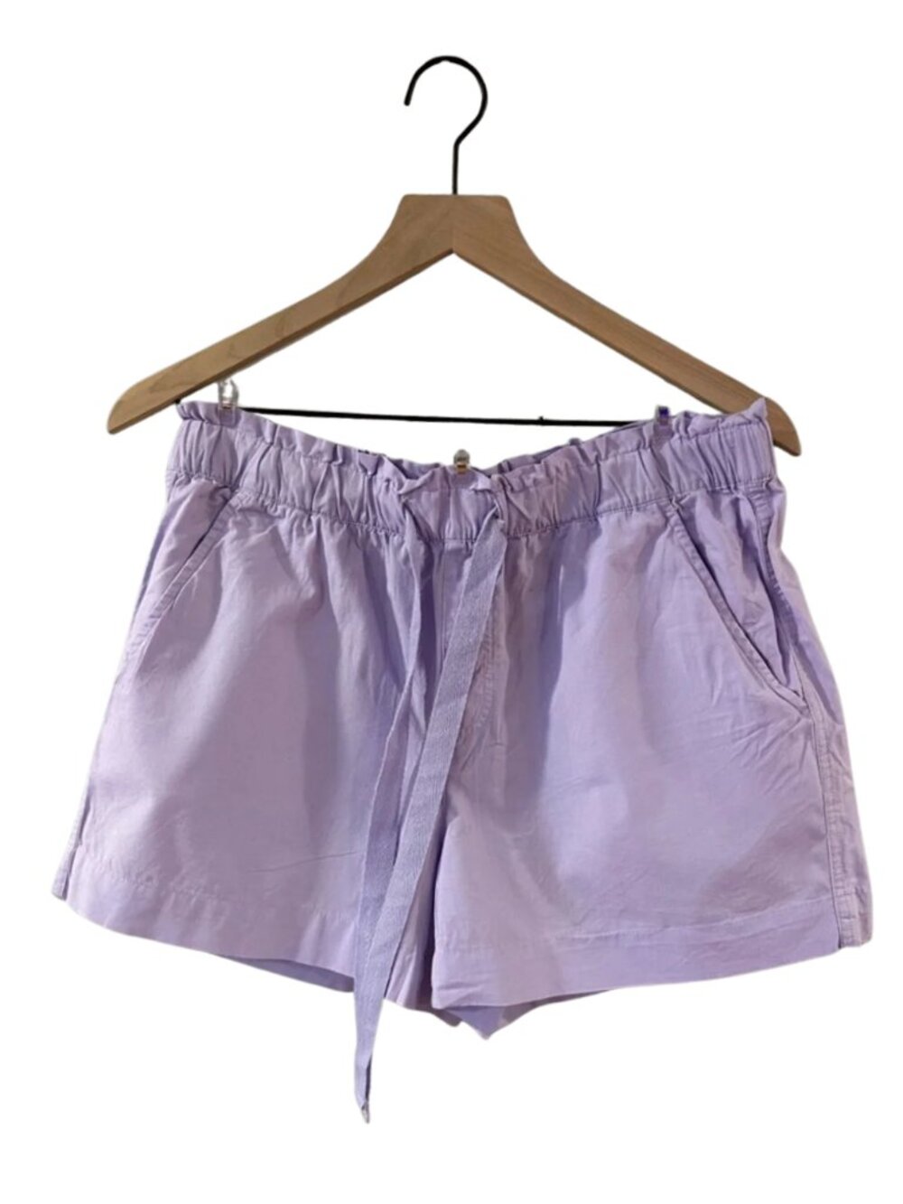 LOFT Lavender Drawstring Shorts